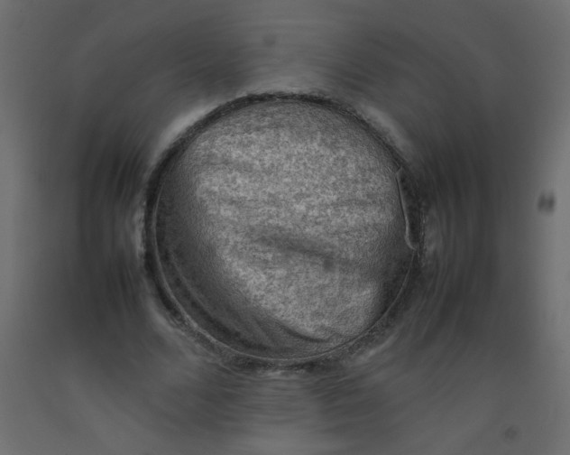 X0000092070680200710101019