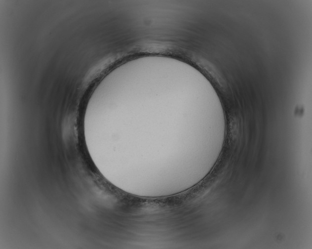 X0000092070682200710101019