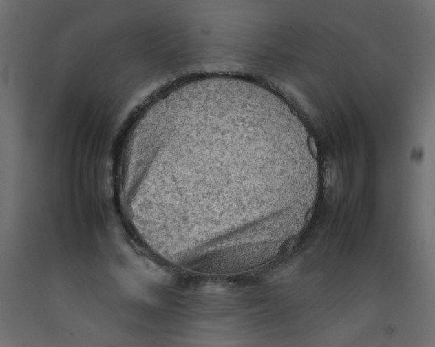X0000092070684200710101019
