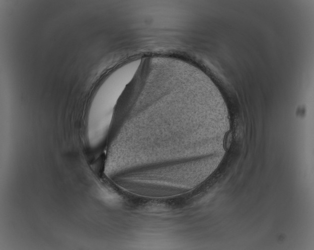 X0000092070685200710101019