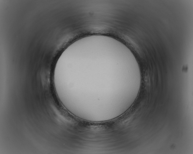 X0000092070686200710101019