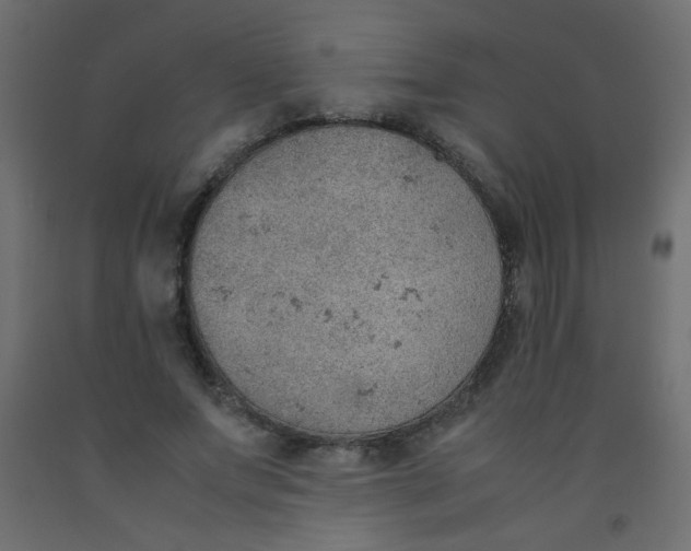 X0000092070687200710101019
