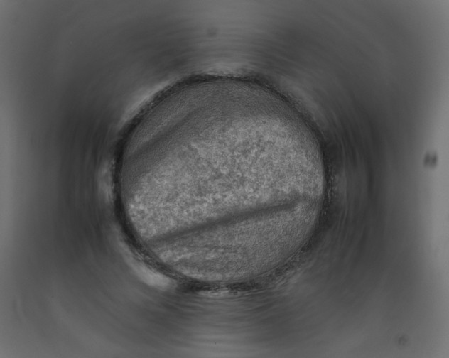 X0000092070688200710101019