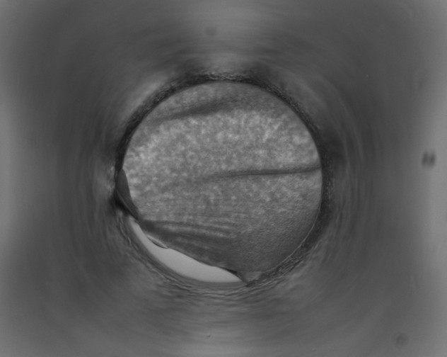 X0000092070689200710101019