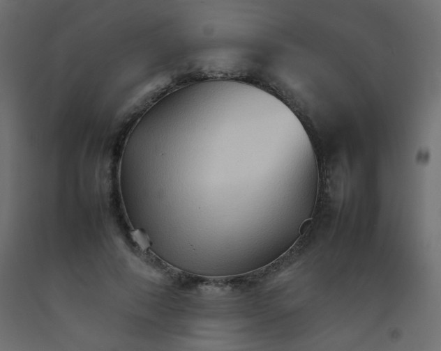 X0000092070690200710101019