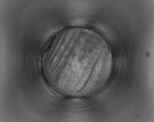 X0000092070692200710101019