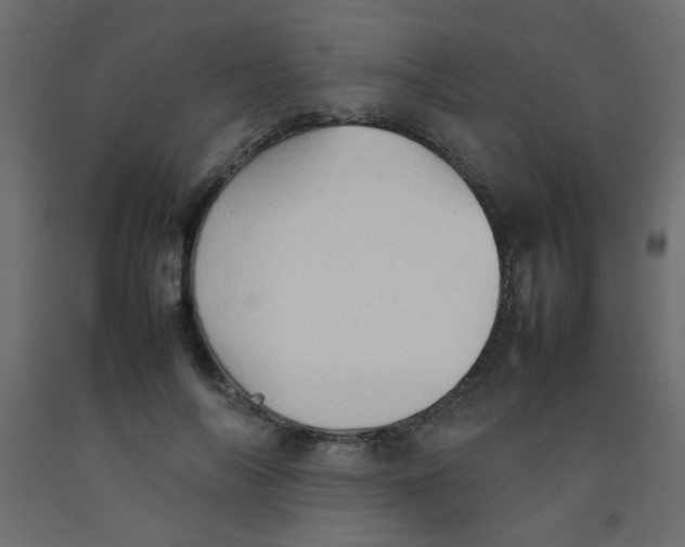 X0000092070694200710101019