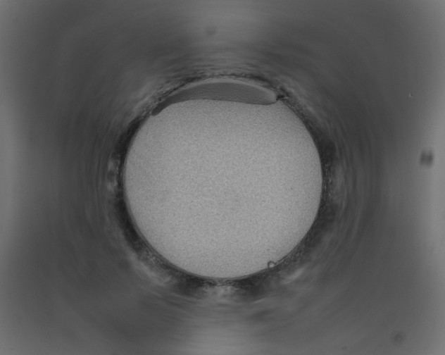 X0000092070695200710101019