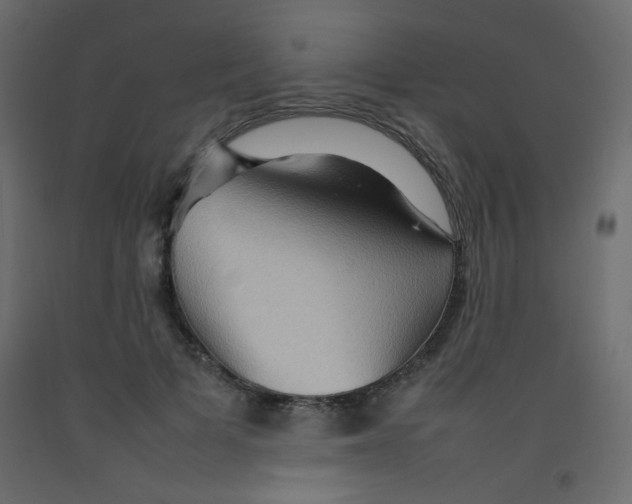 X0000092070697200710101019