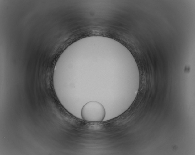 X0000092070698200710101019