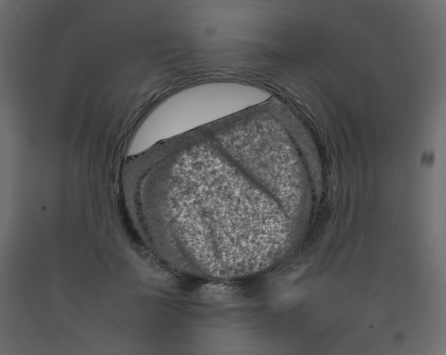 X0000092070699200710101019