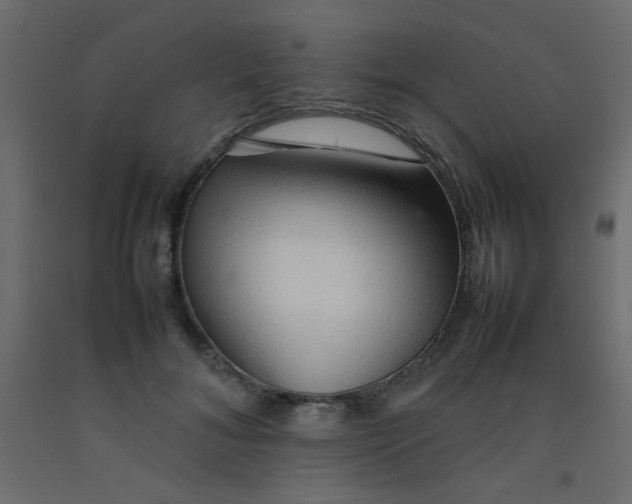 X0000092070700200710101019