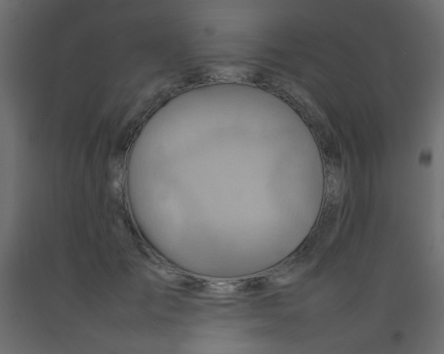 X0000092070701200710101019