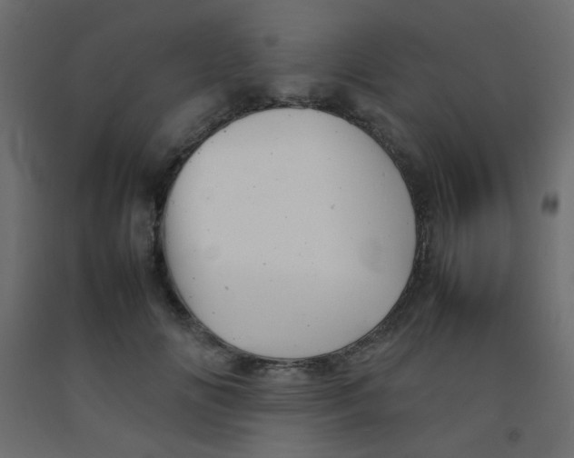 X0000092070702200710101019