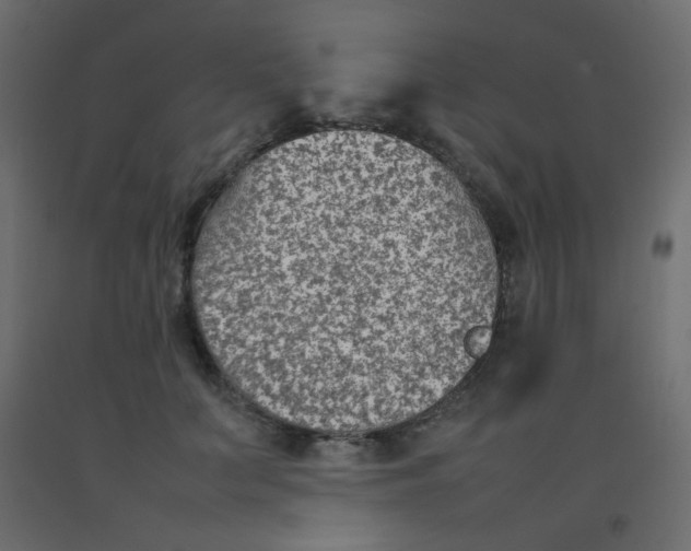X0000092070703200710101019