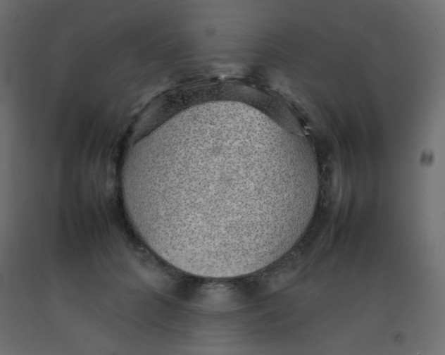 X0000092070704200710101019