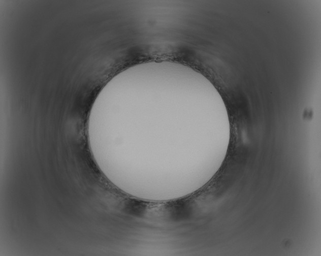 X0000092070705200710101019