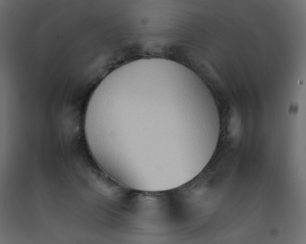 X0000092070706200710101019
