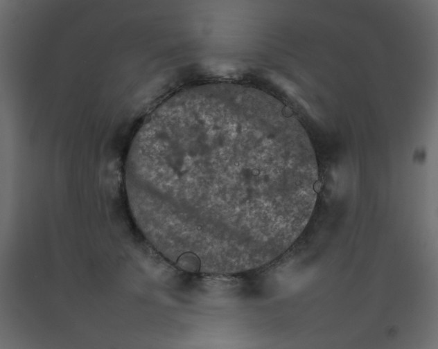 X0000092070707200710101019