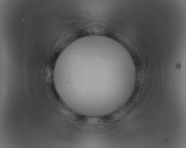 X0000092070709200710101019
