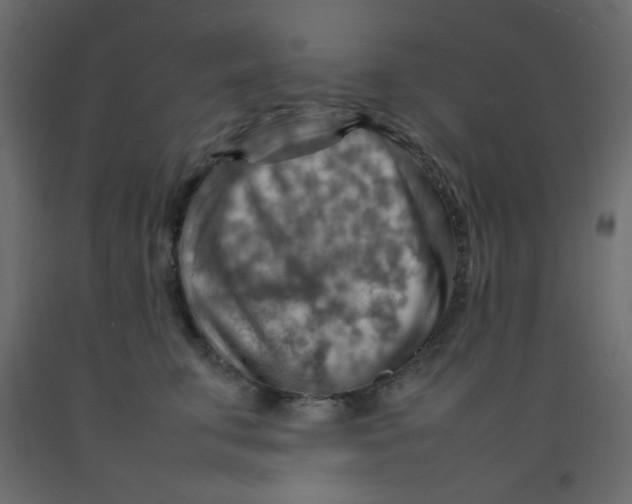 X0000092070711200710101019