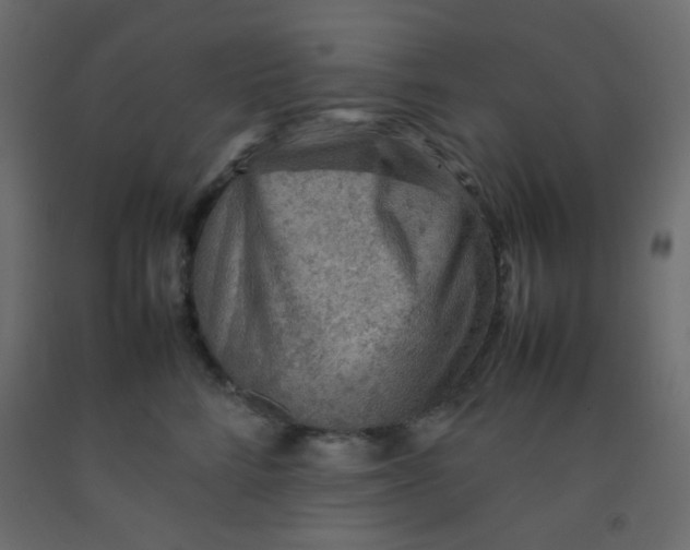 X0000092070712200710101019
