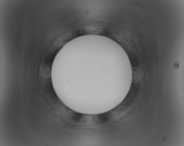 X0000092070713200710101019