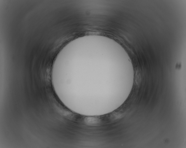 X0000092070714200710101019