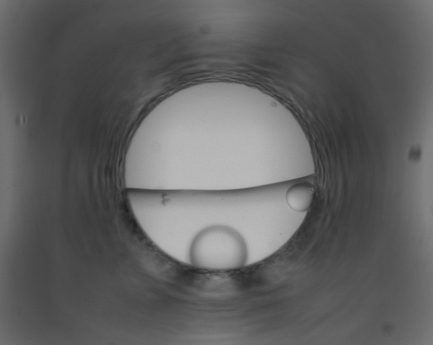 X0000092070715200710101019