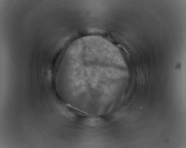 X0000092070716200710101018