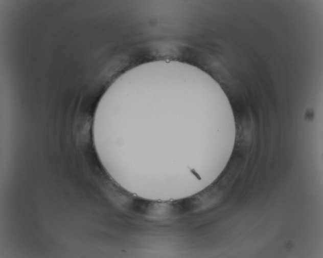 X0000092070717200710101018