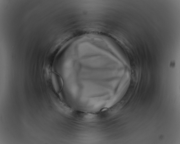 X0000092070718200710101018