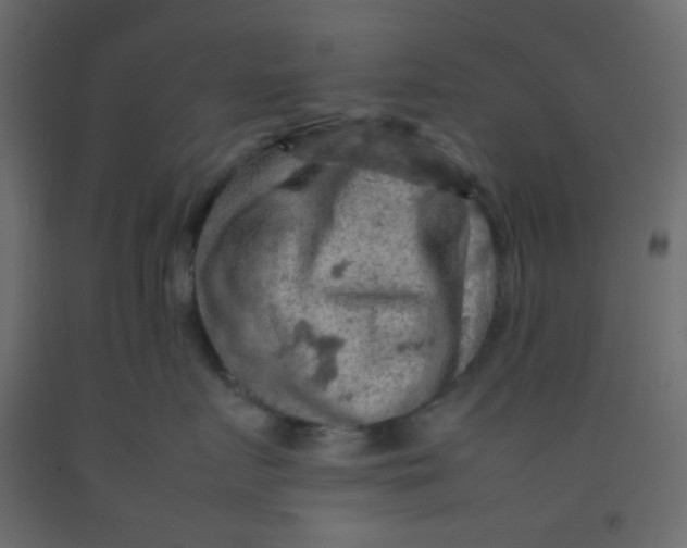X0000092070719200710101018