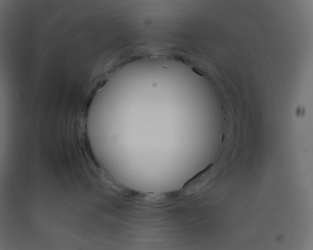 X0000092070720200710101018