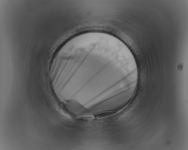 X0000092070721200710101018