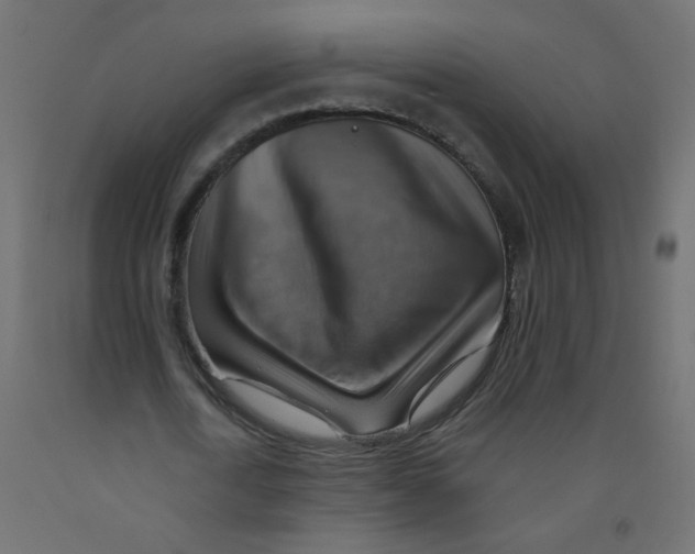 X0000092070722200710101018