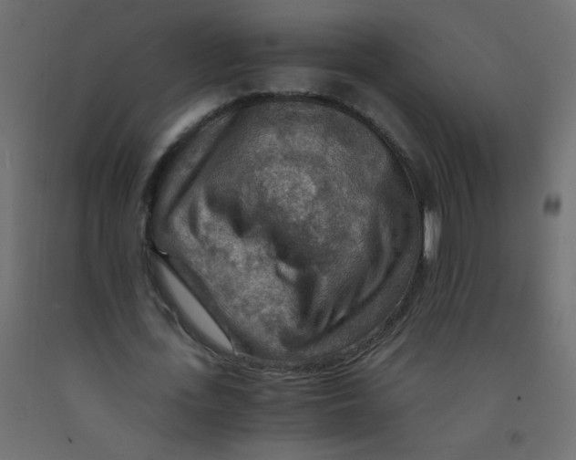 X0000092070723200710101018