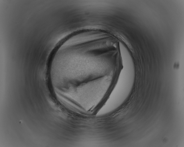 X0000092070724200710101018