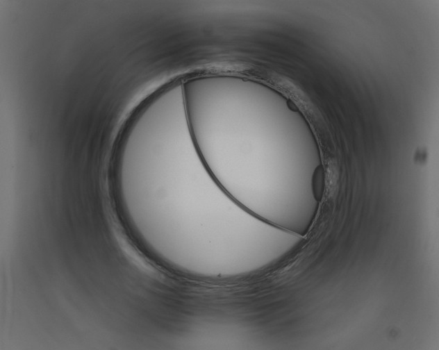 X0000092070726200710101018