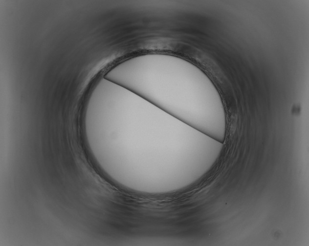 X0000092070727200710101018