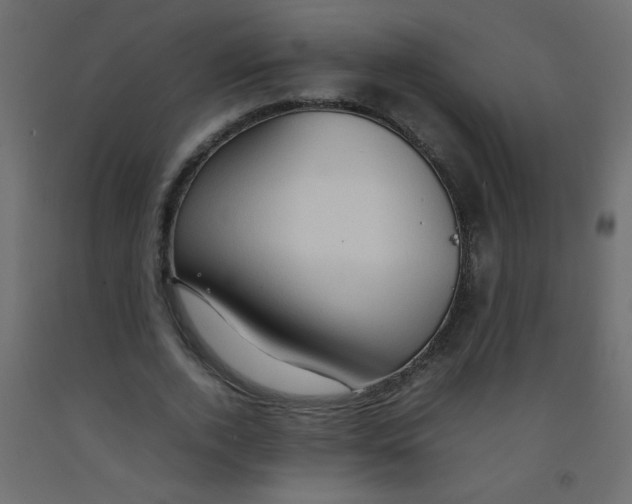 X0000092070728200710101018