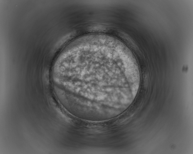 X0000092070729200710101018