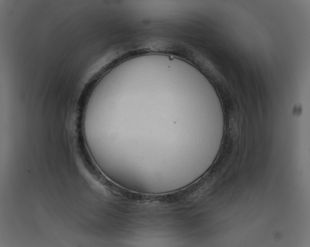 X0000092070730200710101018