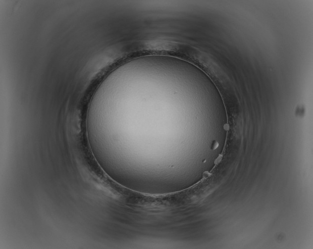 X0000092070731200710101018