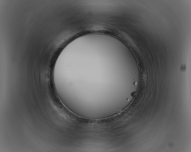 X0000092070732200710101018