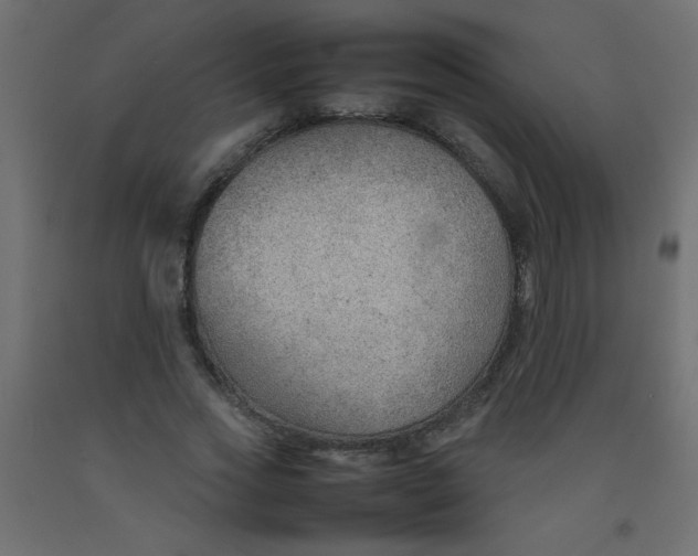 X0000092070733200710101018