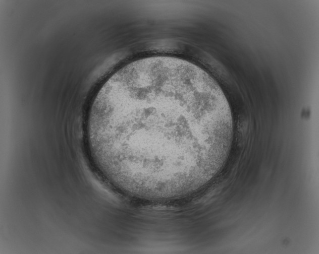 X0000092070734200710101018