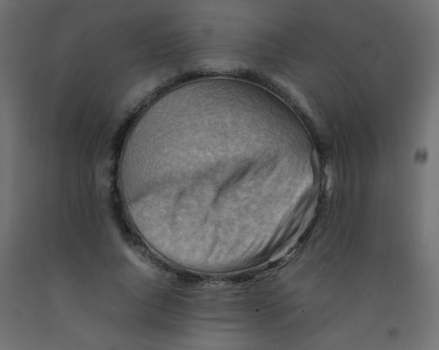 X0000092070736200710101018