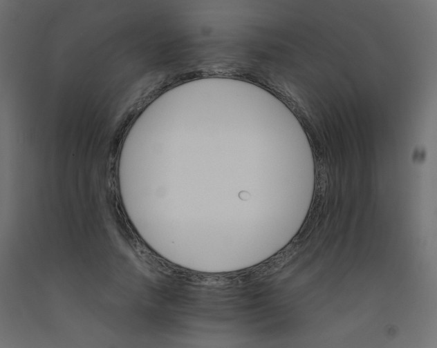 X0000092070738200710101018