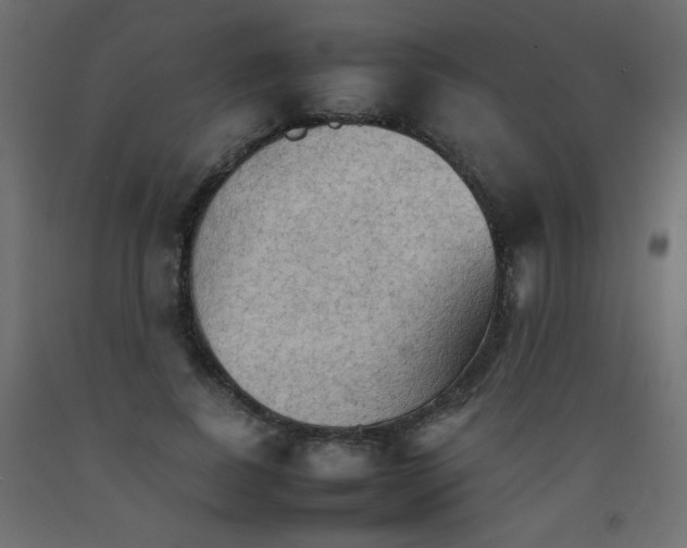 X0000092070739200710101018